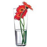 Pasabahce 43177 &ndash; Glass vase Flora, elegant, high, timeless, height 26 cm
