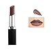 VWH Lipstick Waterproof Long Lasting 10 Color (9# light brown)