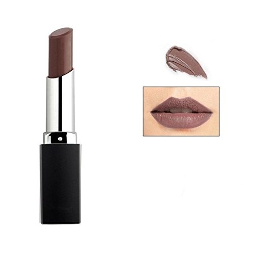 VWH Lipstick Waterproof Long Lasting 10 Color (9# light brown)