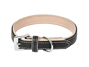 Aalee Dog/Pet Modern Classic Leather Collar | Black Size 26-36CM for Small, Medium and Large Dogs