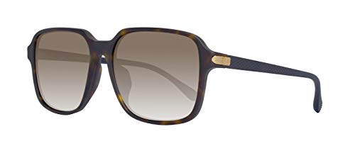 Preisvergleich Produktbild Dunhill Herren Sonnenbrille SDH010V 550738, Braun, 52