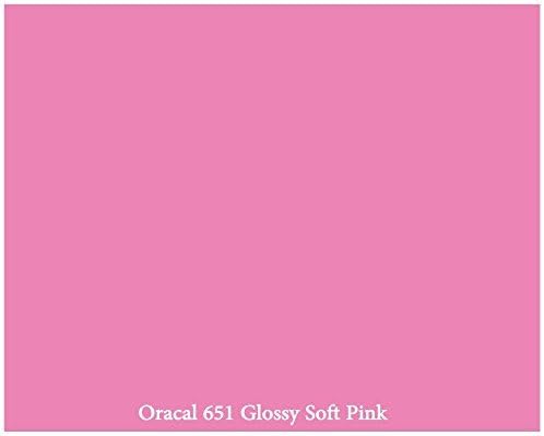 12 x 10 ft Roll of Glossy Oracal 651 Soft Pink Permanent Adhesive-Backed Vinyl for Craft Cutters, Punches and Vinyl Sign Cutters by VinylXSticker by Vinyl X Sticker