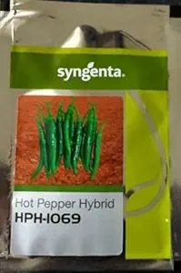 Syngenta HPH-1069 Hybrid Chilli Seeds 1500SD - Hot Pepper