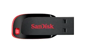 SanDisk Cruzer Blade 32GB USB Flash Drive