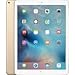 Apple iPad Pro Tablet (9.7 inch, 128GB, Wi-Fi Only), Gold RS.46900.00
