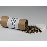 200 Stück PP Raubmilben - Nützlinge gegen Spinnmilben - Biologischer Pflanzenschutz