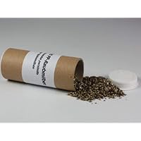 200 Stück PP Raubmilben - Nützlinge gegen Spinnmilben - Biologischer Pflanzenschutz