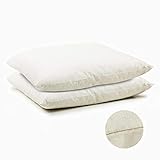 H&F Heimtextilien Kopfkissen 50x50 cm 2-er Set Federkissen, Füllung: 550g, Gänsedaunen/Gänsefedern, Gänsefederkissen, Nr-55 H&F Heimtextilien Kopfkissen 50x50 cm 2-er Set Federkissen, Füllung: 550g, Gänsedaunen/Gänsefedern, Gänsefederkissen, Nr-55