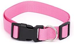 Pet Champion Classic No Pull Extra Durable Adjustable Dog Collar, Pink Lemonade, Small 3/8in x 8-14in