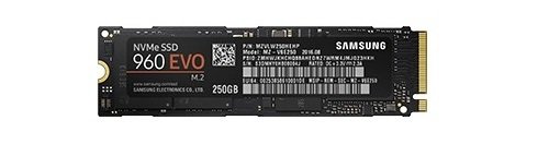 Samsung 960 EVO MZ-V6E250BW Interne Solid State Drive (250GB)