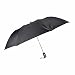 Fendo 2 fold auto open black color Umbrella for men RS.240.00