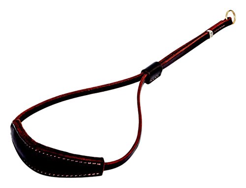 DINGO GEAR Cuir Tip-Collar Laisse, 50 x 1.0 cm, Marron