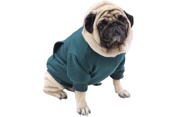 Baeship Dog Hoodie Soft, Comfortable, Pet Sweatshirt Warm Pullover with Hoodie for Winter Indoor and Outdoor Wear Stylish Dog Apparel for Pugs and More (Green, M)