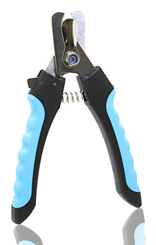 Coupe-griffes/Coupe-griffes pour grand chien/chiot professionnelle en acier inoxydable