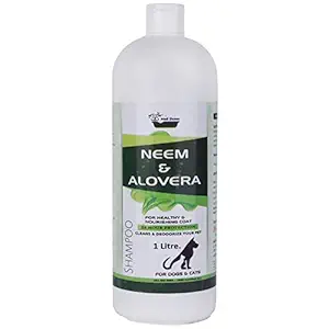 Medilogy Biotech Dog Shampoo Neem Aloe Vera 1 Litre Ayurvedic White Color Promotes Healthy Skin Coat Anti Bacterial Anti Fungal Anti Itch Anti Inflammatory