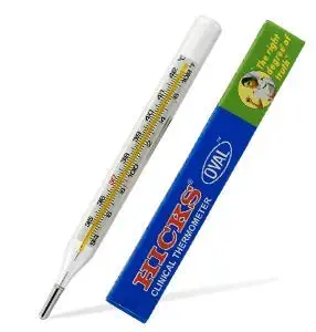 HICKS Oval Thermometer - Pack of 2
