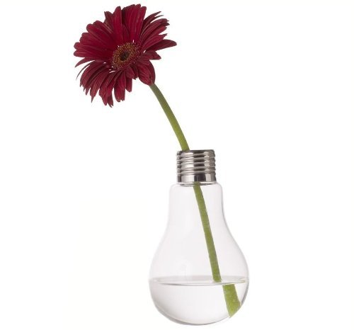 Da.Wa Glasvase in Form einer Glühbirne Blumenvase Pflanzen Micro Landschaft Eco Transparent Bottle,12 x 8 cm - 3