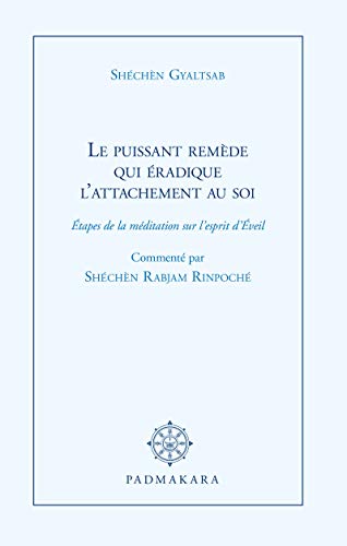 Télécharger Le puissant remède qui éradique l'attachement au soi PDF Ebook En Ligne