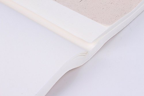 Semi behandelt Reis (Xuan) Papier für chinesische japanische Kalligraphie und Malerei 100 Blatt Pack 34 cm von 70 cm - 5
