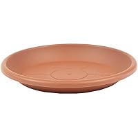 Platillos para plantas | Amazon.es