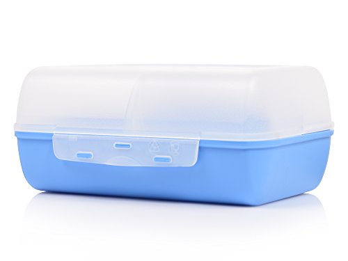 Emsa Brotdosen Set aus Kunststoff 2er Set | BPA-frei | Maße 16x11x7 cm | Mit praktischer herausnehmbarer Trennwand | Mit Dino Motiv - 4