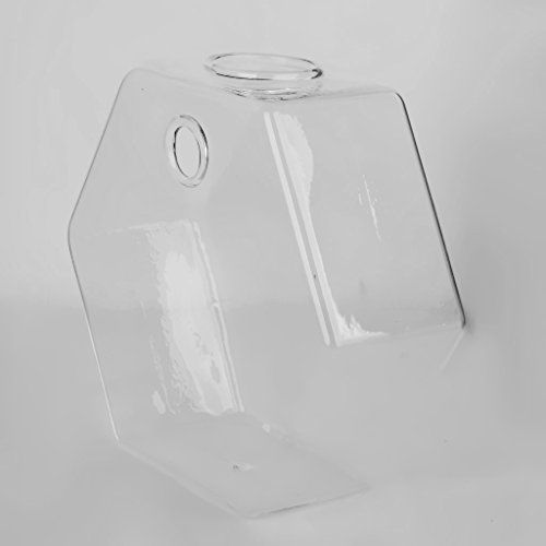Gazechimp Transparent Sechseckig Form Hängevase Glas Vase Glasvase Blumenvase Wand DIY Balkon Dekoration - 3