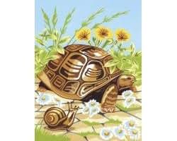 Malen nach Zahlen Schildkröte 24 x 34 cm: Amazon.de: Spielzeug