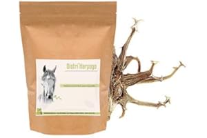 Harpago Cheval - Arthrose Cheval - 900 g