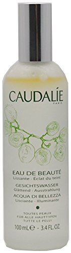 Preisvergleich Produktbild CAUDALIE Eau de beaute Spray 100 ml Spray