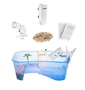 Total Turtle Tank Reptile Starter Kit Terrarium Includes Accessories with UV Basking Light Lamp + Water Filter + Decorative Palm Tree - Aquarium for Terrapin Turtles, Hermit Crab Habitat Crab Crayfish