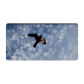 Scare'm Bird Scaring Device, Pigeon scarer scarers and Crop Control ...