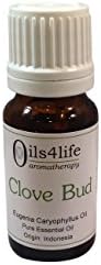 Clove Bud essential oil (oil of the clove) - Eugenia caryaphyllata, 5ml
