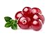 Cranberry (Superfruit) Seed Oil, 50ml