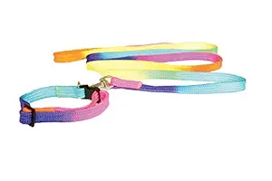 Furry Angels Small Dog Nylon Rainbow Colours Dogs Collar and Leash Set (Pack of 1)
