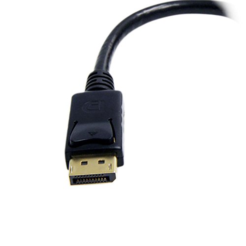 StarTech.com DisplayPort auf DVI Adapter – DP (Stecker) zu DVI-I (Buchse) Video -Konverter – maximale Auflösung 1920×1200 - 3