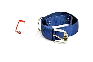 Dogista pet products Nylon Dog Collar 1 inch (Color May Vary) Large