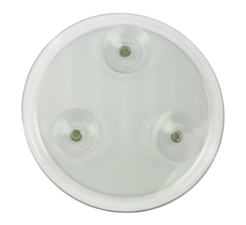 Fantasia Acryl-Spiegel mit Saugnapf und 10-fach Vergrößerung, 1 x 10 cm - 2