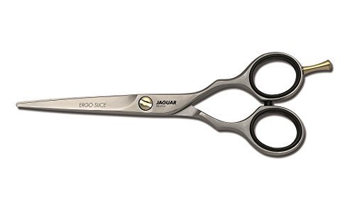 Jaguar Ciseaux de coiffeur Style Ergo Slice 5.5