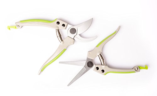 Preisvergleich Produktbild der Dandler Premium Gartenschere Astschere Rosenschere Blumenschere Ernteschere und Leseschere