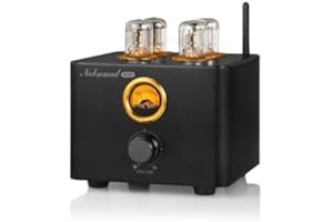 Nobsound B100 Bluetooth 5.0 wzmacniacz rurowy USB DAC Coax/Opt Integrated Stereo Amplifier wzmacniacz HiFi
