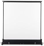 Mobile Leinwand im Bodengehäuse, mit zwei Handgriffen einsatzbereit