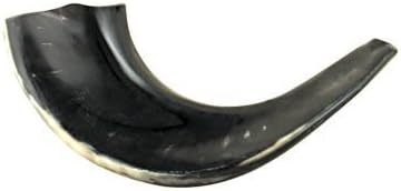 Ram's Horn Shofar Kosher Small Size 11.5" Polished Black / Dark