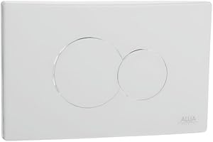 Plaque de Commande WC Suspendu SELLES Combo, Double Touche Blanche
