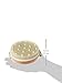 Hydrea London Lymphatic Detox Brush with Natural Bristle and Rubber Nodules