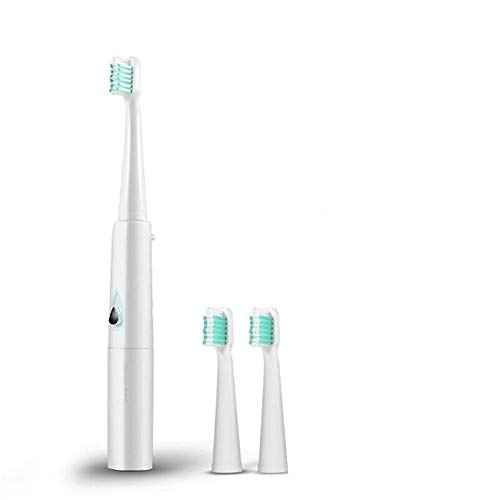 Wenquan,Sonic Electric Toothbrush IPX7 Waterproof For 2 Replacement Heads(color:GREEN)