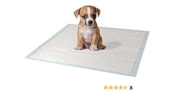 Garden Mile Chiot Chien Chaton Toilette Entrainement Coussinet Pour Chats Animal Pipi Tapis Grand Maison Piddle Wee Avec Odeur Controle Technologie Ultra Absorbant Anti Glissement Multiple Usage 60cm Amazon Fr Animalerie
