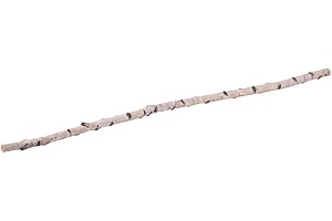 ‎IWERK iWerk® – Birkenstamm Natur | Echtes Premium Birkenholz ideal für DIY | Natürliche Deko für Wohnzimmer & Schlafzimmer | Raumteiler Ideen | AST zum Aufhängen | Birkenstämme (180 cm, Ø 2-4 cm)