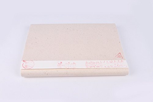 Semi behandelt Reis (Xuan) Papier für chinesische japanische Kalligraphie und Malerei 100 Blatt Pack 34 cm von 70 cm - 7