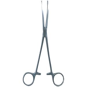 Namiba Terra 0745 Futterzange, 30 cm gebogen, edelstahl