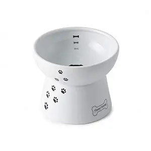 Necoichi Raised Dog Food Bowl